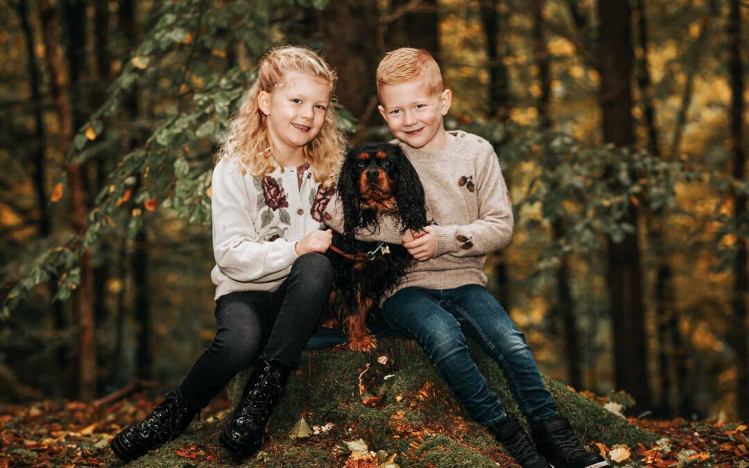 10 gode råd til julefotografering i naturen